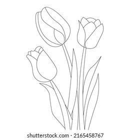 tulip flower line art coloring page for kid drawing of black stroke design
