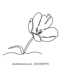 Tulip flower line art. continuous line drawing of tulip.Single-line art flower vector illustration.
