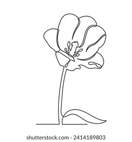 Tulip flower line art. continuous line drawing of tulip.Single-line art flower vector illustration.
