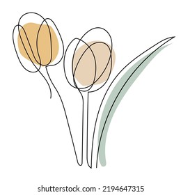 Tulip flower line art. Contour drawing. Minimalism art.