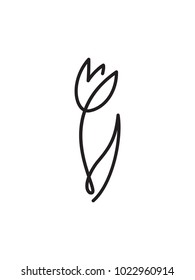 Tulip flower line art. Minimalist contour drawing. One line artwork
