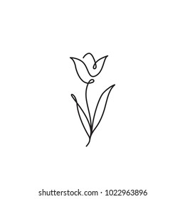Tulip flower line art  Minimalist contour drawing  One line artwork