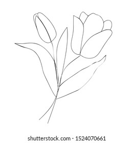Tulip flower line art. Minimalist contour drawing. Continuous one line drawing - vector design
