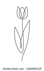 Tulip flower line art. One line artwork. Minimalist contour drawing - stock vector