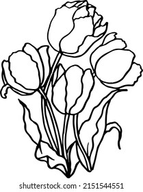 Tulpenblütenlinie Kunst. Blumenzeilenkunst. Tulpenvektor und Grafiken. Blumenelemente. floral