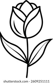  tulip flower line art vector illustration with white background