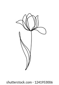 Tulip Flower Line Continuous . Minimalist Art. One Line Drawing