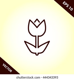tulip flower line icon