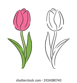 Línea floral de tulipanes. Arte minimalista. Conjunto de ilustraciones de colores y líneas