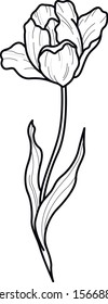 tulip flower line work vector flash tattoo