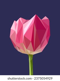 Tulip flower in low poly style on dark blue background.