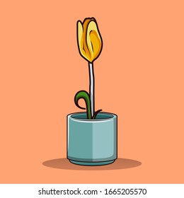 Tulip Flower on Spring. Colored Vector of Tulip (Yellow)