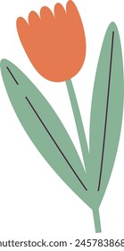 Tulip Flower On Stem Vector Illustration