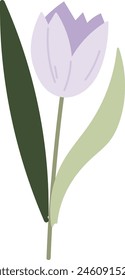 Tulip Flower On Stem Vector Illustration