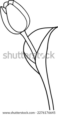 tulip flower on white background. black and white tulip. hand drawn of tulip. vector illustration