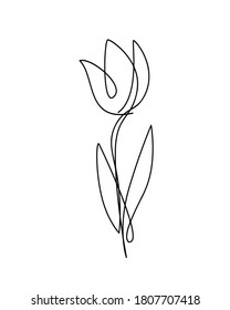 Tulip flower one continuous line art. Black outline on a white background. Vector illustration isolated