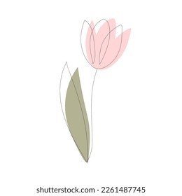 Tulip-Blume in einer Linie mit farbigen Flecken