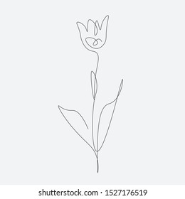 Tulip flower one line drawing on white background, vector illustration