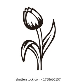 tulip flower outlined vector design. floral ornament, good for nature logo