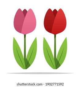 Tulip flower plant vector isolated illustration