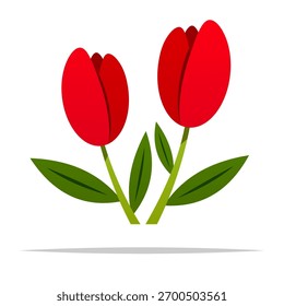Vector de planta de flor de tulipán ilustración aislada