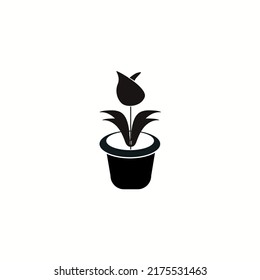 Tulip Flower in Pot Icon Vector Template Illustration