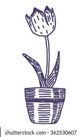 Tulip flower pot vector drawing