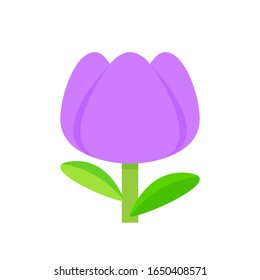 tulip flower purple simple isolated on white background, tulips purple cartoon for clip art, illustration tulip flower, vector