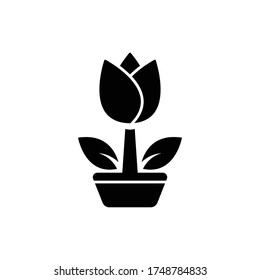 tulip flower silhouette icon vector