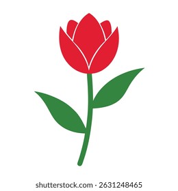 "Tulip Flower Silhouette Isolated on White Background"