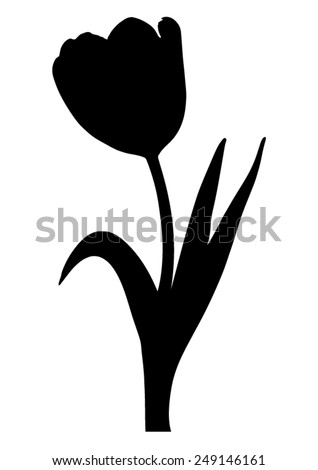 Similar – Image, Stock Photo Tulips monochrome tulips