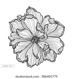 Tulip flower top view, line pattern. Vector artwork. Coloring book page for adult. Love bohemia concept for wedding invitation card, ticket, branding, boutique logo, label. Gift for girl and women
