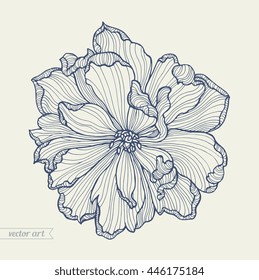 Tulip flower top view, line pattern. Vector artwork. Monochrome dark blue, beige colors