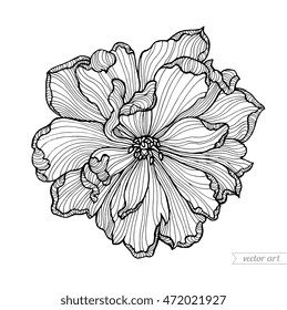 Tulip flower top view, line pattern. Vector artwork. Coloring book page for adult. Love bohemia concept for wedding invitation card, ticket, branding, boutique logo, label. Gift for girl and women
