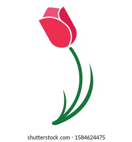 Tulip flower vector art design