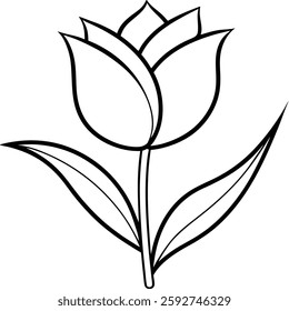 Tulip Flower Vector Art On White Background.