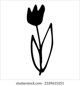 Tulip flower vector element on white background. Botany. Floristics. Symbol for design.