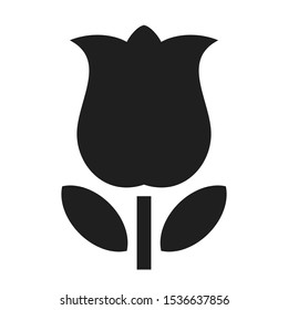 Tulip flower vector icon on white background