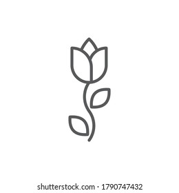 Tulip-Blume, Vektorsymbol einzeln auf weißem Hintergrund
