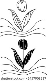Tulip flower vector illustration on white background