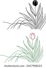 Tulip flower vector illustration on white background