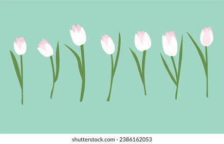 Tulip flower vector illustration. Pink tulip vector. Spring flower. Floral clip art. Nature concept. Flowers and plants. Flat vector in cartoon style isolated on white background.