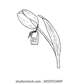 Tulipán flor Ilustración vectorial tag corazón. Cabezal de bulbo de hoja curva. Etiqueta de papel colgando. Dibujo gráfico de contorno negro. Contorno de línea silueta contorno. Jardín natural de vacaciones de primavera. Flor blanca rosada 