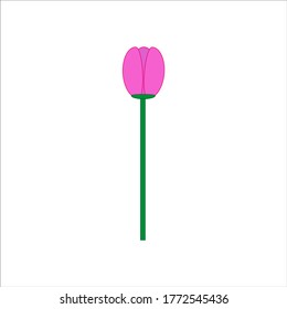 tulip flower vector. illustration for web and mobile design.