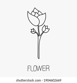 Tulip flower vector thin icon on white background. Floral symbol in isolation, isolated plant with stem vector sign. Bohemian luxury flower icon