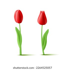 Tulip flowers 3d illustration on stem with leaves with different blossom shape in red color