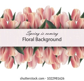 Tulip flowers banner template Vector illustration. Floral backgounds