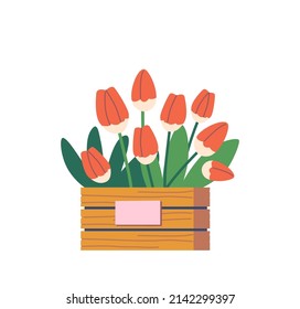 Tulip Flowers Bouquet in Decorative Box, Beautiful Blossoms, Present for Birthday or Mothers Day, Natural Home Decor Isolated on White Background. Cartoon Vector Illustration, Icon, Clipart