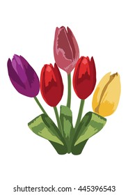 Tulip Flowers Bouquet Vector