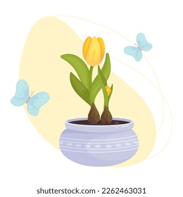 Tulip flowers and buds in a flowerpot with flying butterflies on an abstract background.Vector graphics.
